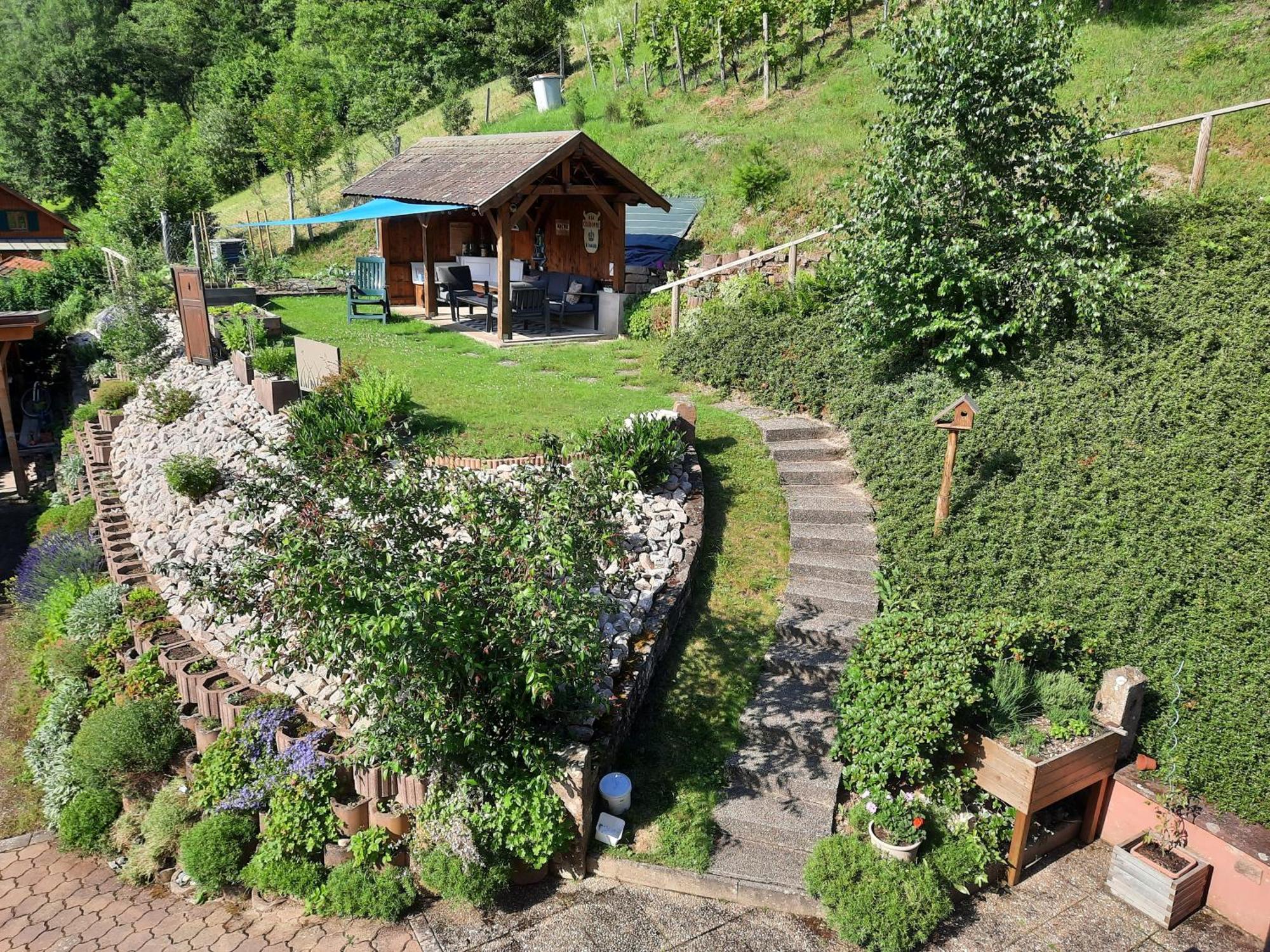 Chambres D'Hotes "Au Val Sejour" Alsace Saint-Martin  Zewnętrze zdjęcie