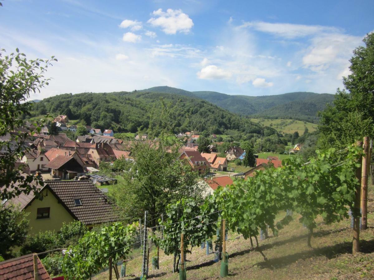 Chambres D'Hotes "Au Val Sejour" Alsace Saint-Martin  Zewnętrze zdjęcie